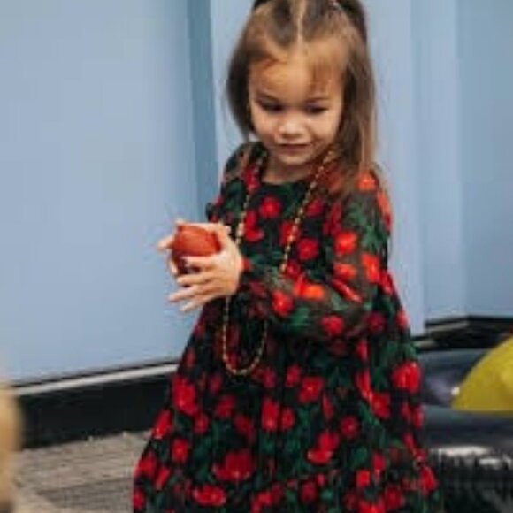 NWT CARTERS Child of Mine Long Sleeve Chiffon Petticoat Dress Black\Red 2T - Picture 1 of 4